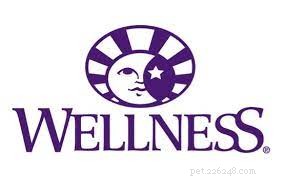 Top-Rated Cat Food for Managing Hyperthyroidism: Safe, Nutritious Options