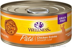 Top-Rated Cat Food for Managing Hyperthyroidism: Safe, Nutritious Options