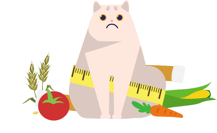 Mastering Feline Diabetes: Diagnosis, Care, and Path to Remission