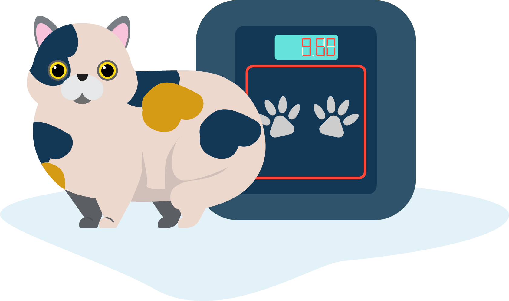 Mastering Feline Diabetes: Diagnosis, Care, and Path to Remission
