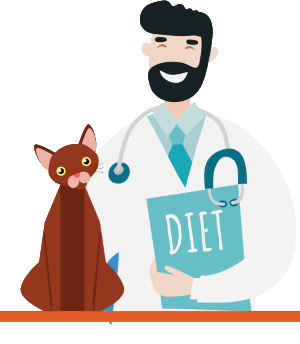 Mastering Feline Diabetes: Diagnosis, Care, and Path to Remission