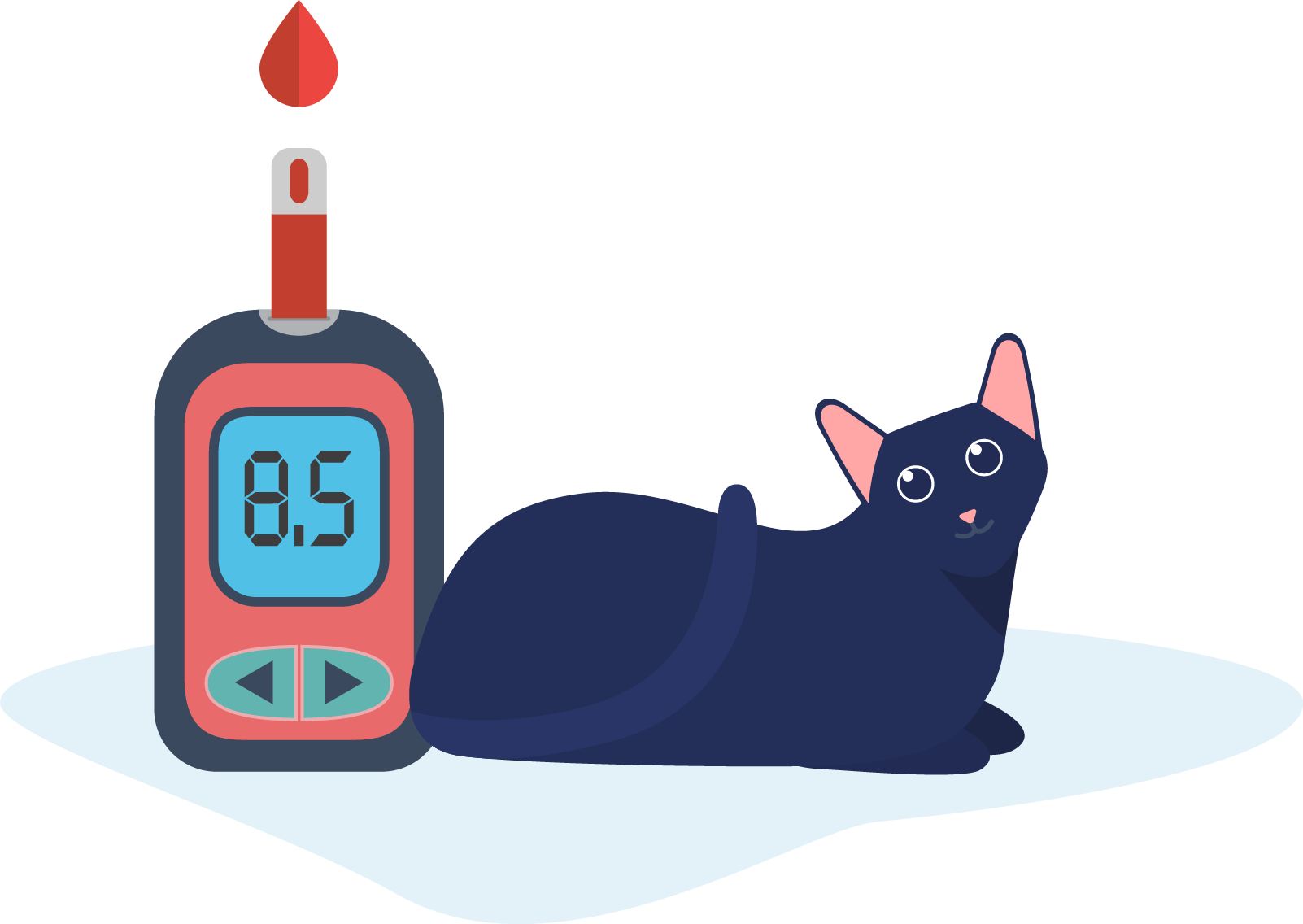 Mastering Feline Diabetes: Diagnosis, Care, and Path to Remission