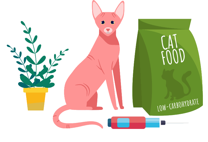 Mastering Feline Diabetes: Diagnosis, Care, and Path to Remission