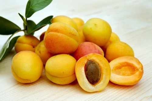 Fruits & Vegetables for Cats: A Trusted Guide for Owners