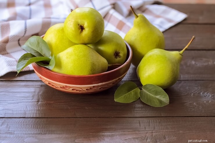 Fruits & Vegetables for Cats: A Trusted Guide for Owners