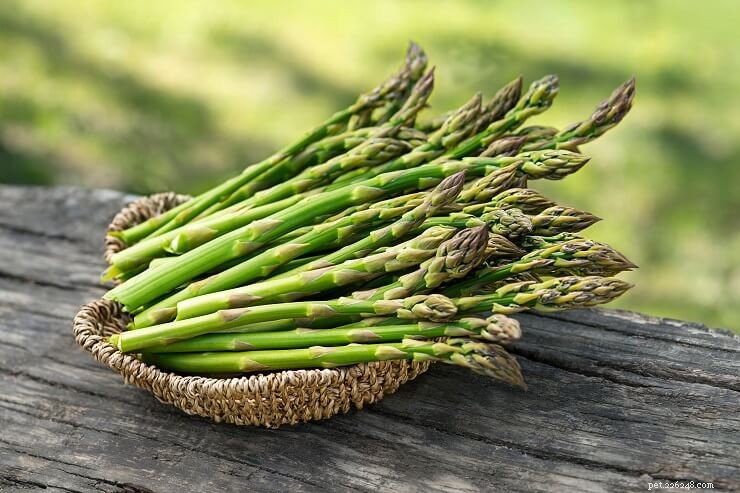 Fruits & Vegetables for Cats: A Trusted Guide for Owners
