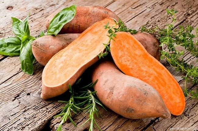 Fruits & Vegetables for Cats: A Trusted Guide for Owners