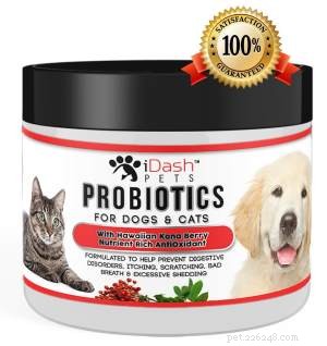 What Causes Your Cat to Itch and Scratch? Expert Guide to Diagnosis and Relief