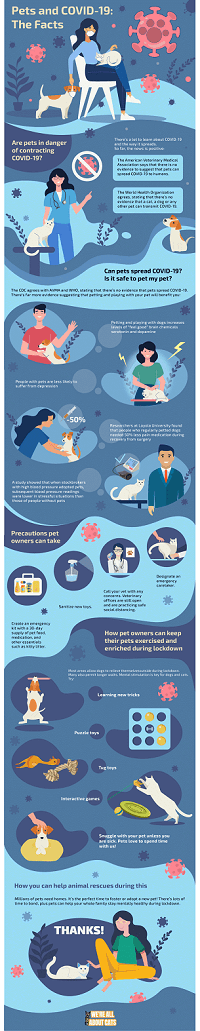 Cats and COVID-19: What Pet Owners Must Know About Risks and Protection