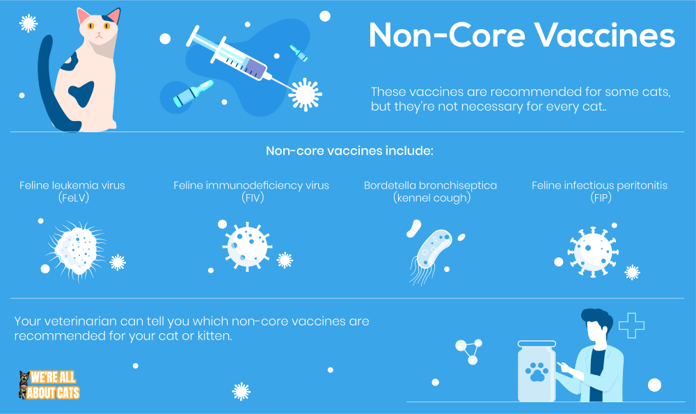 Essential Guide to Cat Vaccinations: Protect Your Pet Today