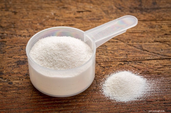 Metamucil for Cats: Safe, Effective Constipation Relief – Dosage & Guidelines