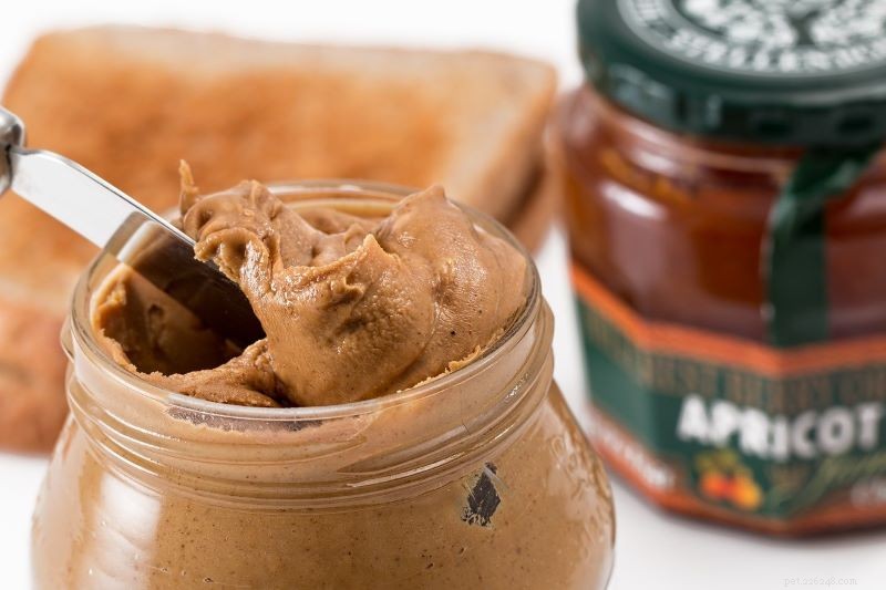 Is Peanut Butter Safe for Cats? A Quick Guide
