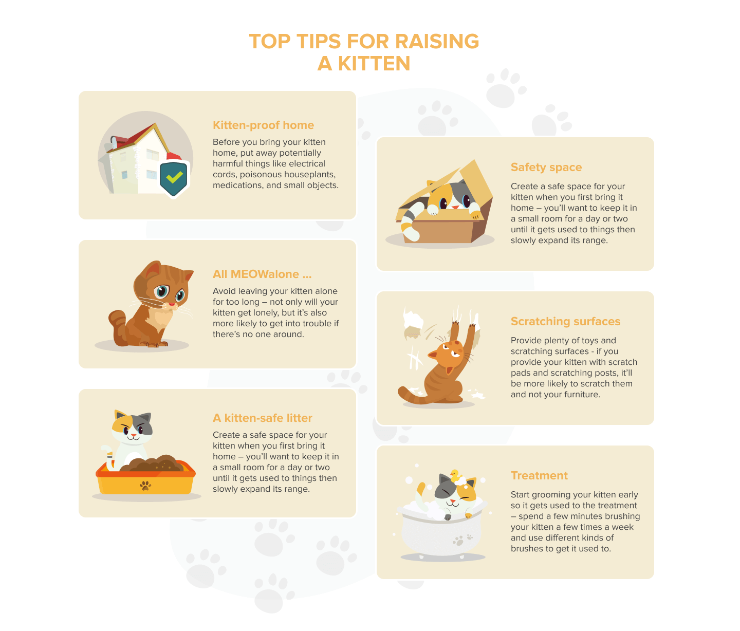 The Ultimate Kitten Care Guide: Expert Tips for Healthy, Happy Pups