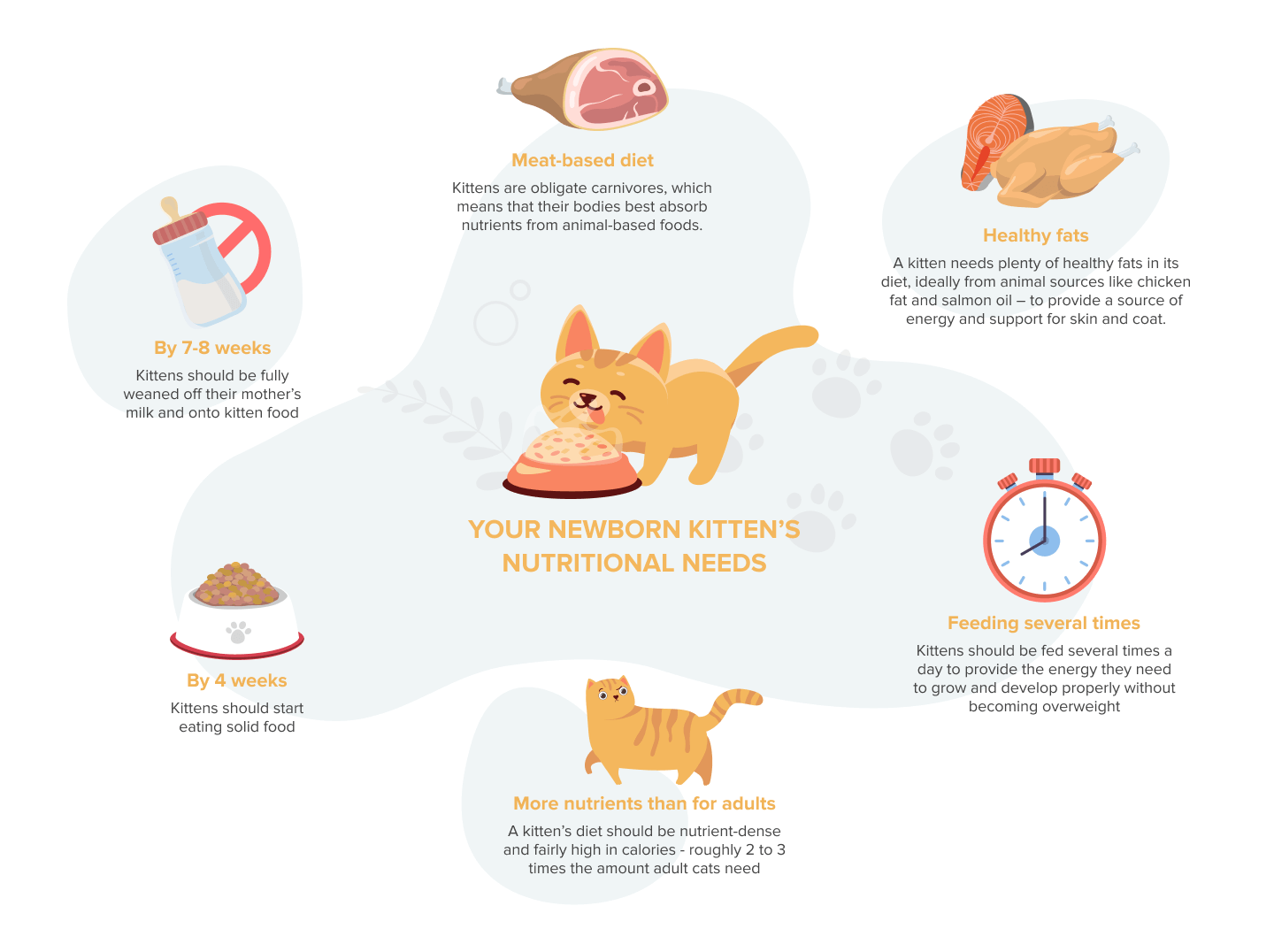The Ultimate Kitten Care Guide: Expert Tips for Healthy, Happy Pups