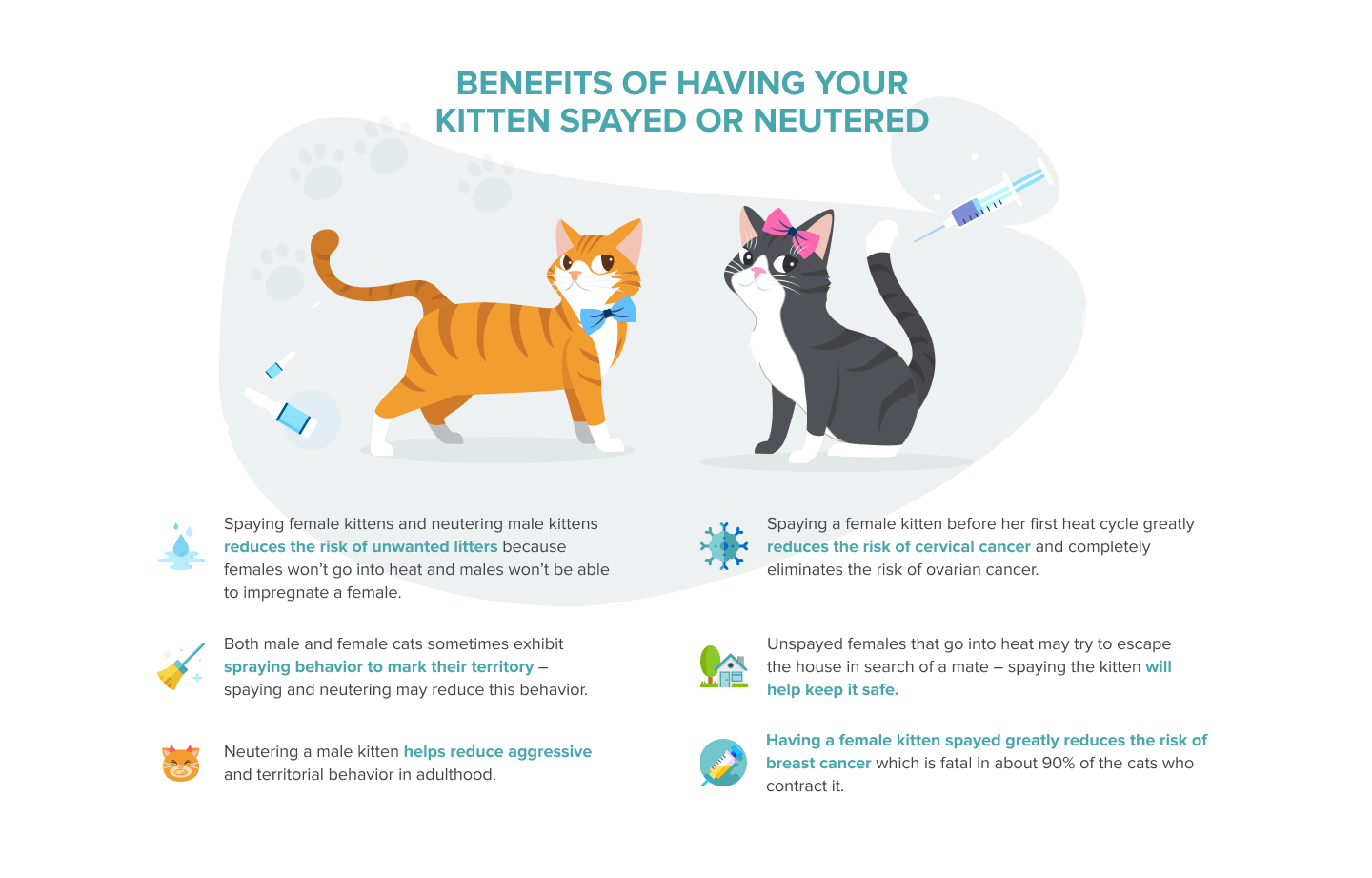 The Ultimate Kitten Care Guide: Expert Tips for Healthy, Happy Pups