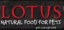 Top 6 Cat Foods for Pancreatitis: Expert‑Reviewed, Low‑Residue, and Palatable
