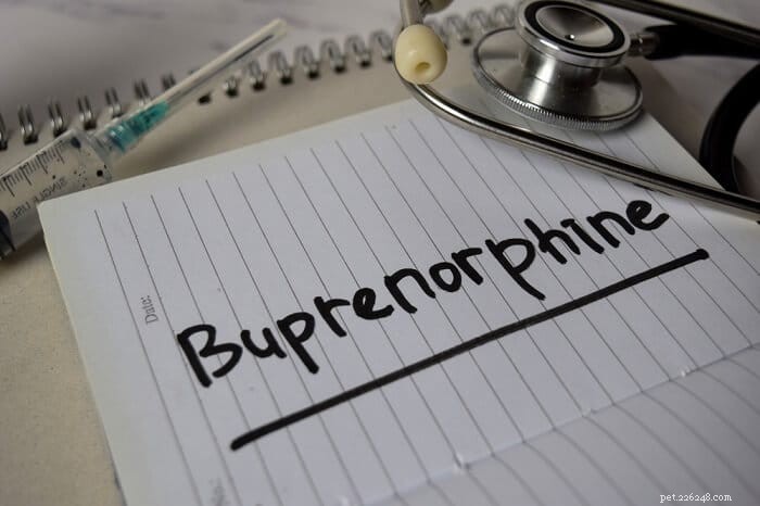 Buprenorphine in Cats: Uses, Dosage, and Side‑Effect Profile