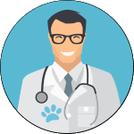 Benadryl for Cats: Proper Dosage, Safety Guidelines, and Potential Side Effects