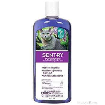 Top 6 Cat-Friendly Flea Shampoos: Safe, Effective & Trusted