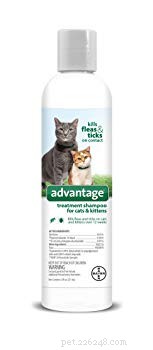 Top 6 Cat-Friendly Flea Shampoos: Safe, Effective & Trusted