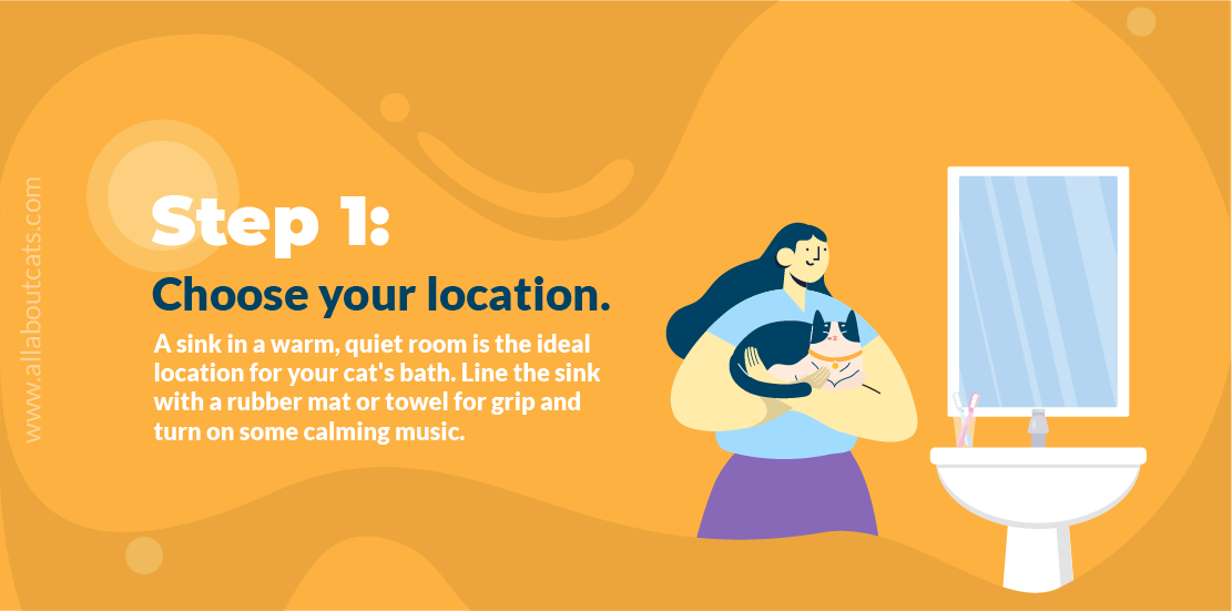 Step-by-Step Guide to Bathing Your Cat Safely and Quickly