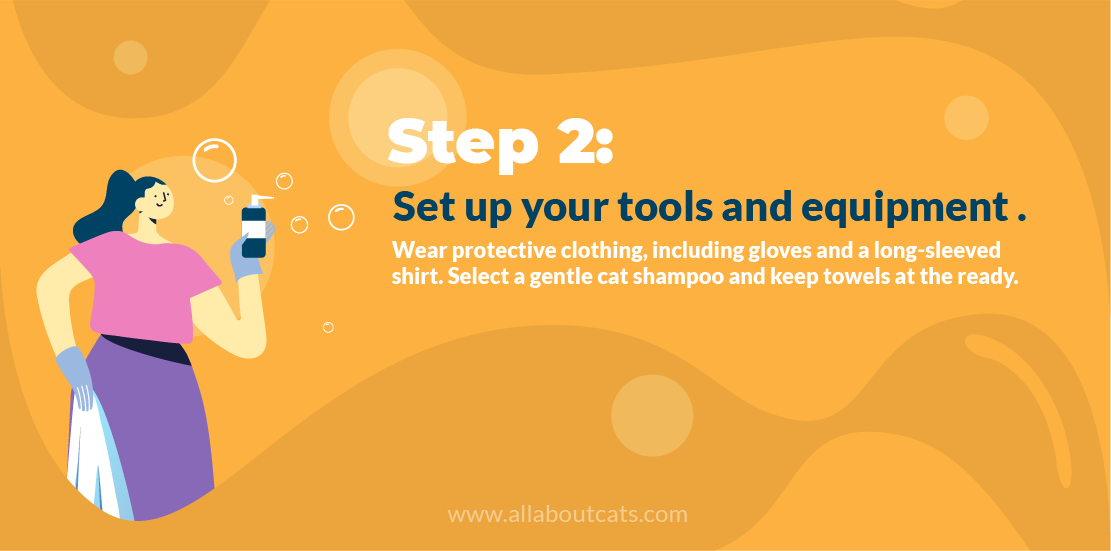 Step-by-Step Guide to Bathing Your Cat Safely and Quickly