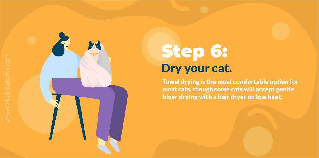 Step-by-Step Guide to Bathing Your Cat Safely and Quickly