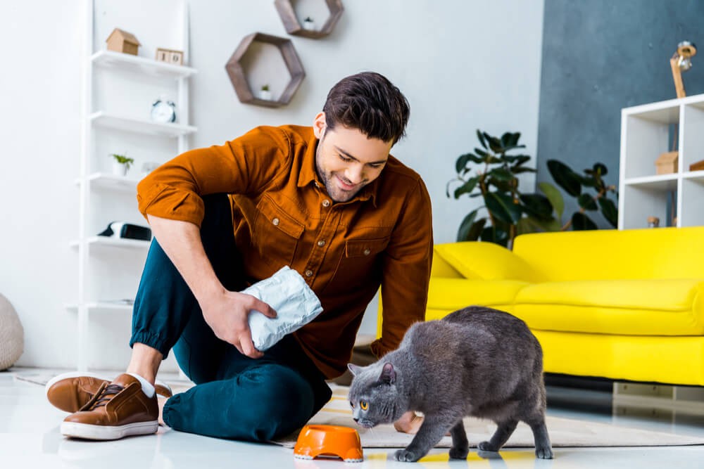 How Much Should You Feed Your Cat? Expert Guide