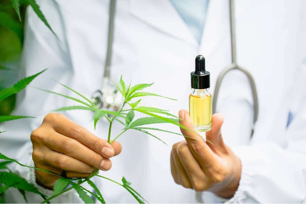 CBD Oil for Cats: What It Is & Safe Usage Guide
