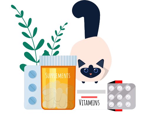 Top 6 Cat Vitamins & Supplements: Vet‑Approved Choices for Healthy Felines