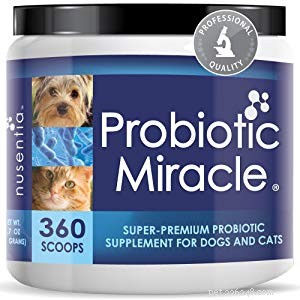 Top 6 Cat Vitamins & Supplements: Vet‑Approved Choices for Healthy Felines