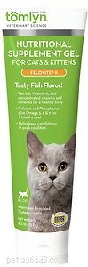 Top 6 Cat Vitamins & Supplements: Vet‑Approved Choices for Healthy Felines