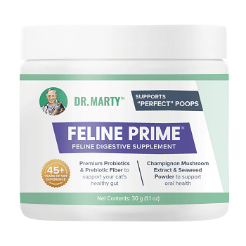 Top 6 Cat Vitamins & Supplements: Vet‑Approved Choices for Healthy Felines