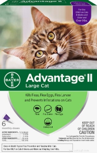 Advantage for Cats: Safe, Effective Flea Treatment & Prevention