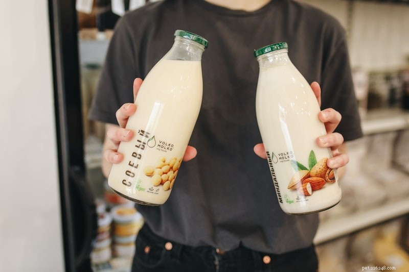 Is Almond Milk Safe for Cats? A Guide to Cat-Friendly Alternatives