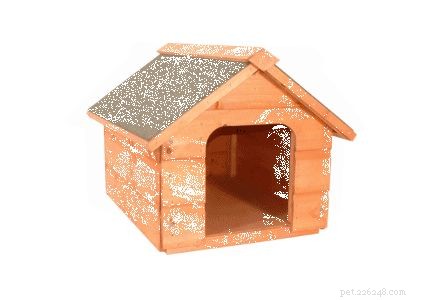 Premium Outdoor Dog Kennels: Durable, Cozy & Weather‑Resistant