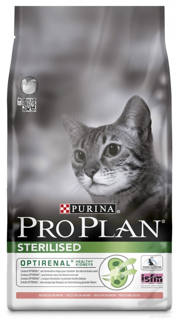 The Complete Guide to Cat Neutering: Benefits, Timing, and Care
