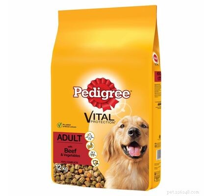 The Ultimate Guide to the 15 Best Dog Food Brands