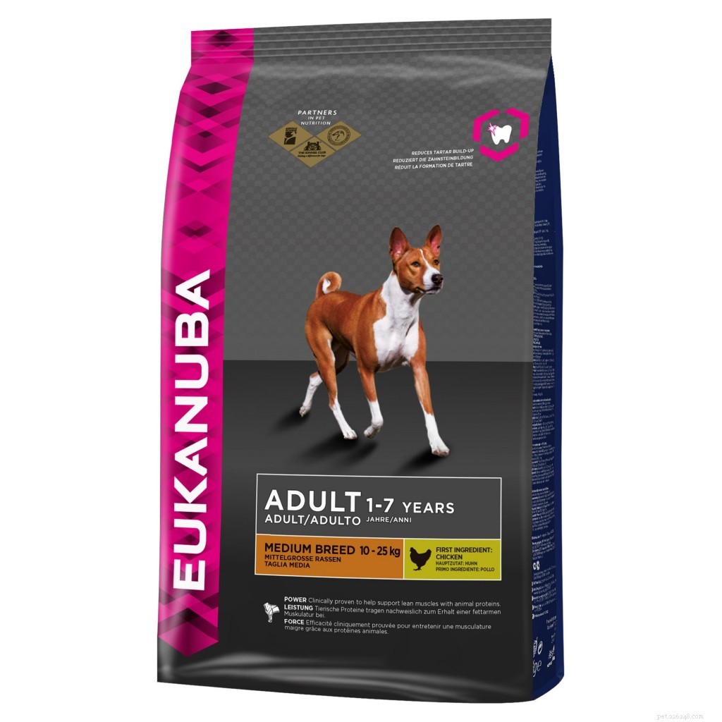 The Ultimate Guide to the 15 Best Dog Food Brands