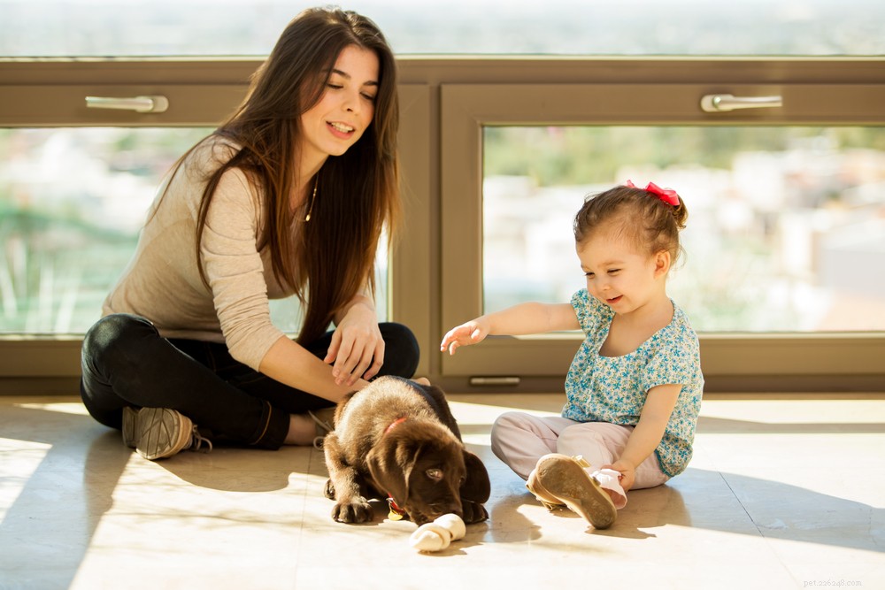 Welcome Your New Puppy: A Step‑by‑Step Guide to a Stress‑Free Family Introduction