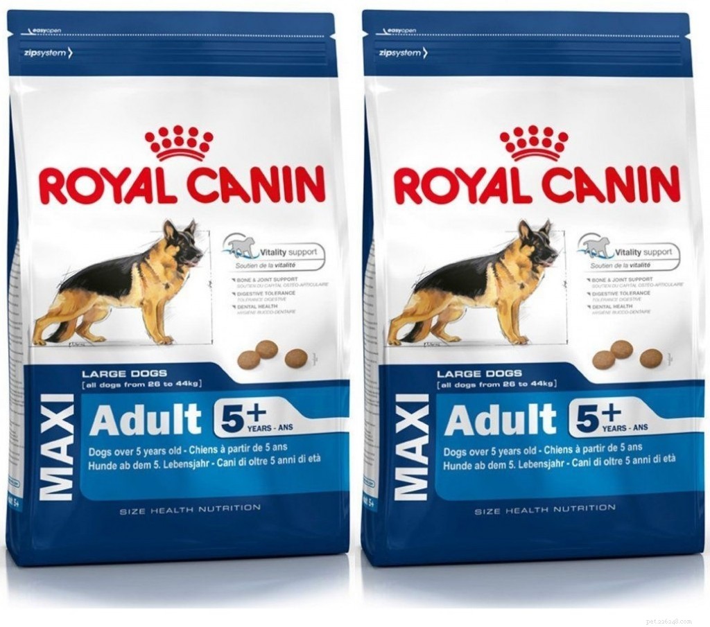 The Importance of Senior Dog Food: Answers to Common Questions