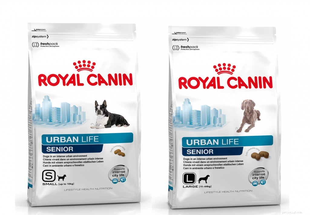 Dry vs. Wet Dog Food: Choosing the Best Nutrition for Your Pet