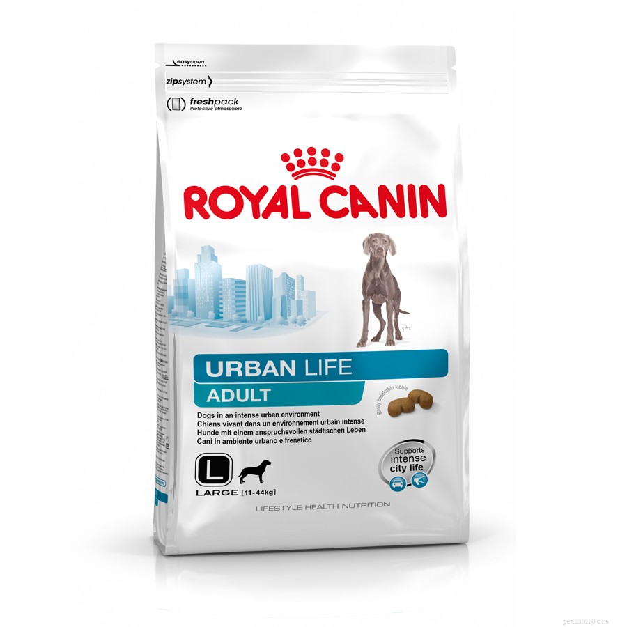Royal Canin Urban Life Dog Food: Tailored Nutrition for Your Pet