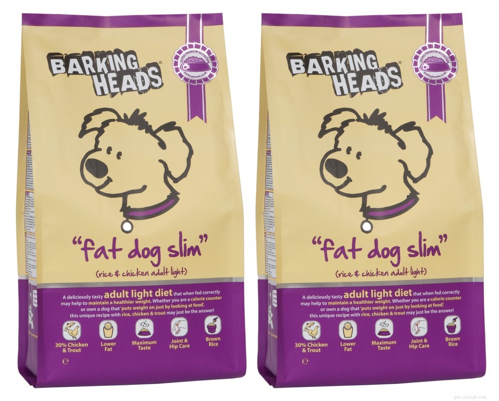 Determine If Your Dog Is at a Healthy Weight: A Simple Guide for Owners