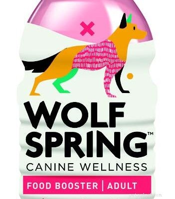 Why Your Dog Needs Proper Hydration: Tips & Insights