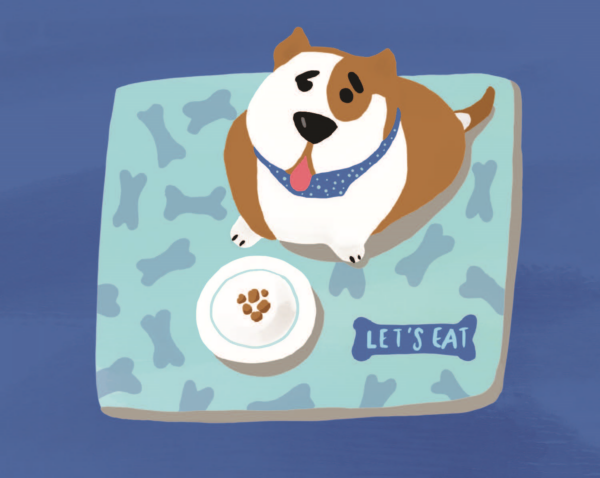 8 Key Indicators Your Puppy Is Overweight
