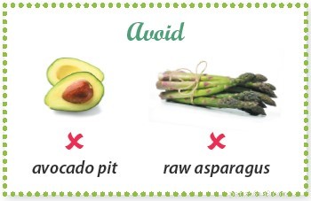 Healthy Green Treats for Your Dog This Holiday Season
