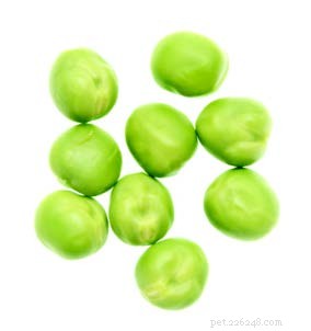Peas in Grain‑Free Dog Foods: What You Need to Know About Heart Health