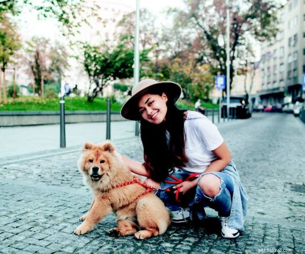 Help Your Fearful Dog Overcome Anxiety with Proven Avoidance Training