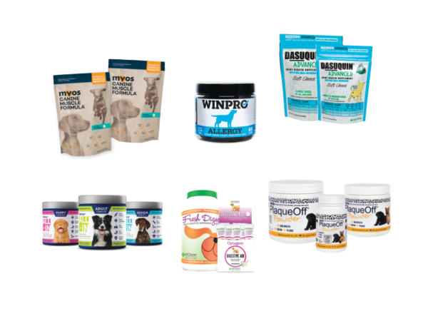 Is Your Dog Lacking Energy? Boost Their Vitality Naturally